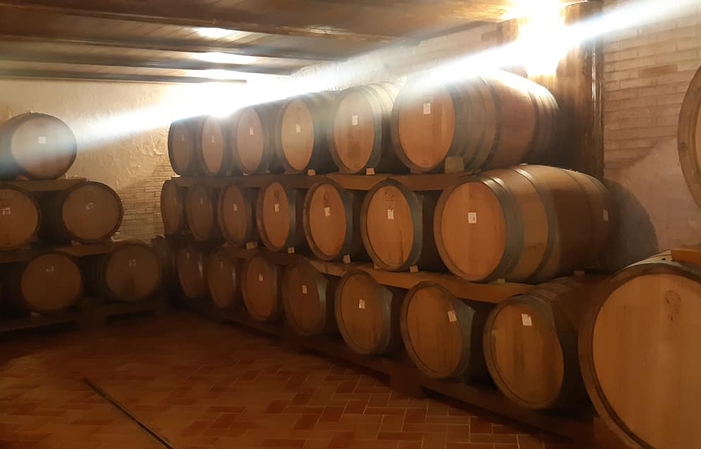 Visita y degustaciones en la Cantina "Ruggieri" 1,00 €