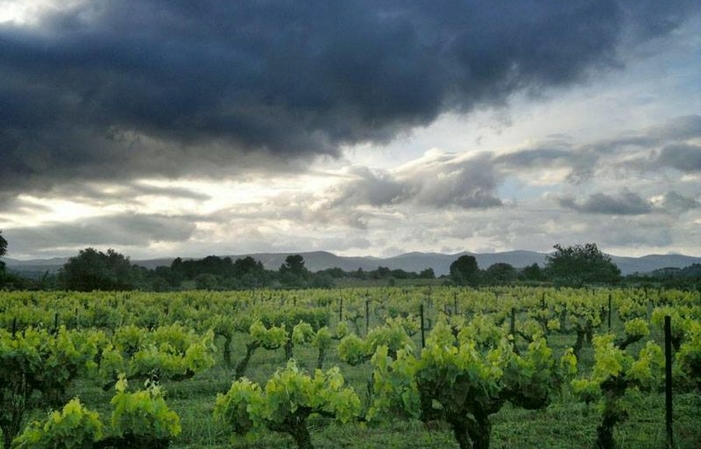 Visita y degustación en el Clos du Marbrier 1,00 €