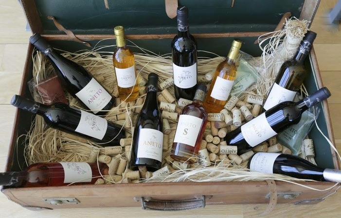 AnETO WINES Domain Tour 10,00 €