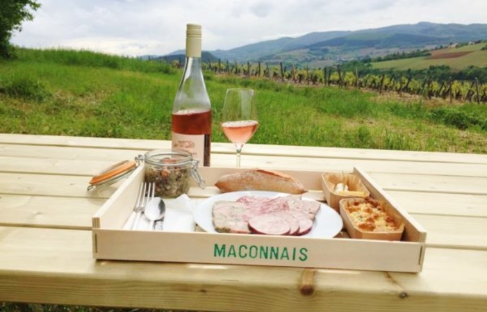 Comida de picnic en los viñedos del Château de la Greffière 29,50 €