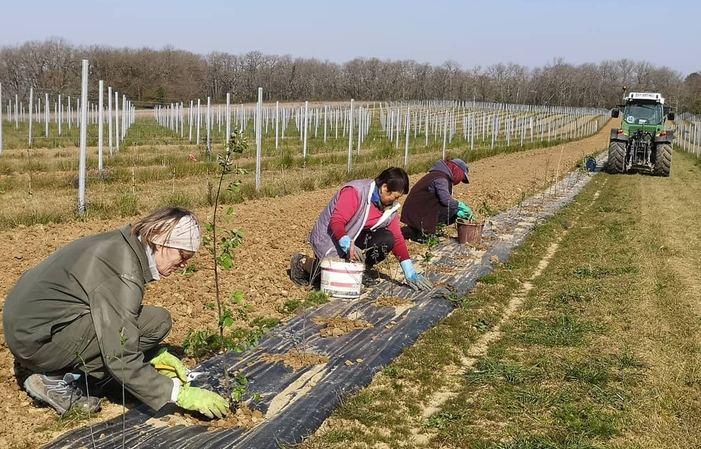 Visita y degustación en la Finca Pajot 1,00 €