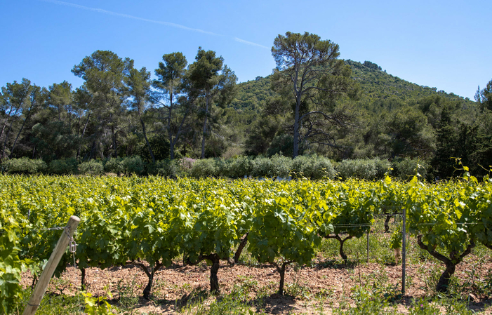 Visita y degustaciones del Domaine de la Narvicelle 10,00 €