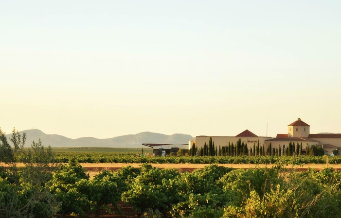 Visita Turística Bodegas Martínez Paiva 10,00 €