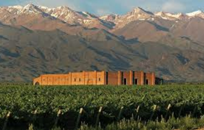 Visita Mendoza Vineyards 5,00 €