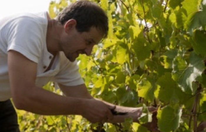 Visita la finca de Loéc Mahé 8,00 €