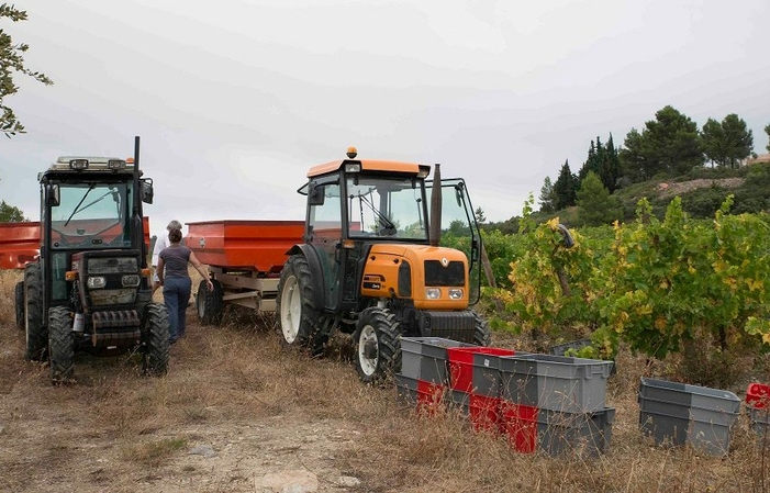 Visita La Finca Cantaussel 5,00 €