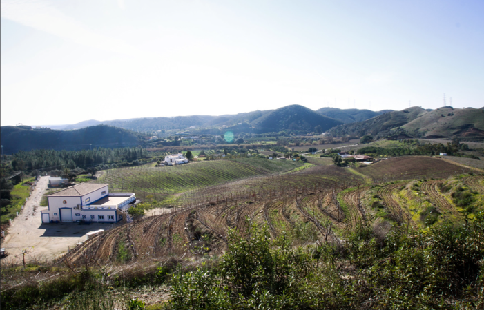 Visita y degustación - Quinta Do Francês 1,00 €