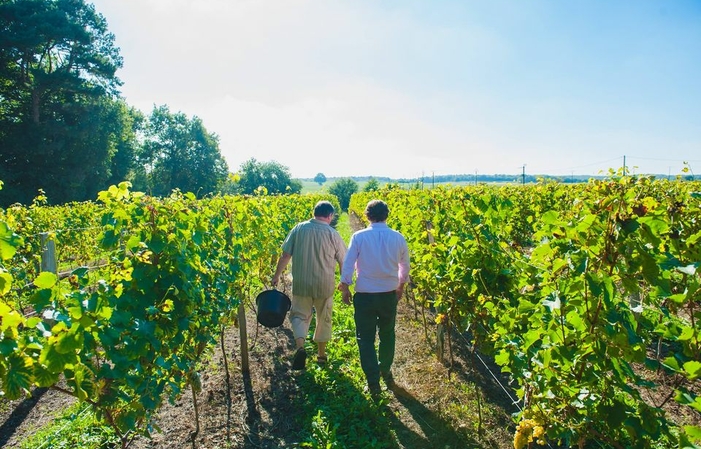 Visite el Château du Petit Thouars - Vino del Valle del Loira 1,00 €