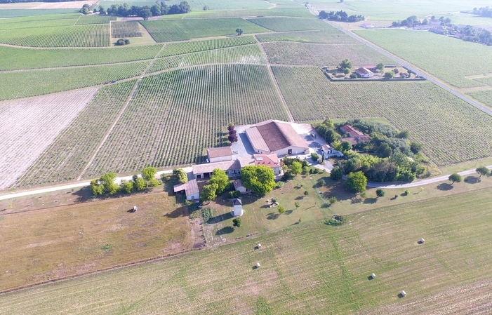 Visita y degustación en el Château Pierre de Montignac 1,00 €