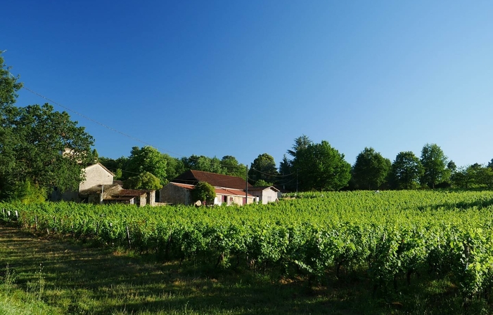 Visita a la degustación del Domaine de Bonaguil 1,00 €