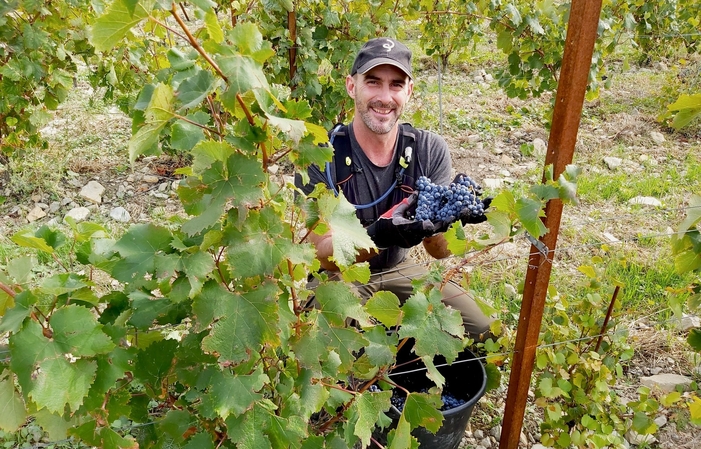 Visita y degustaciones Domaine de la Begude 1,00 €