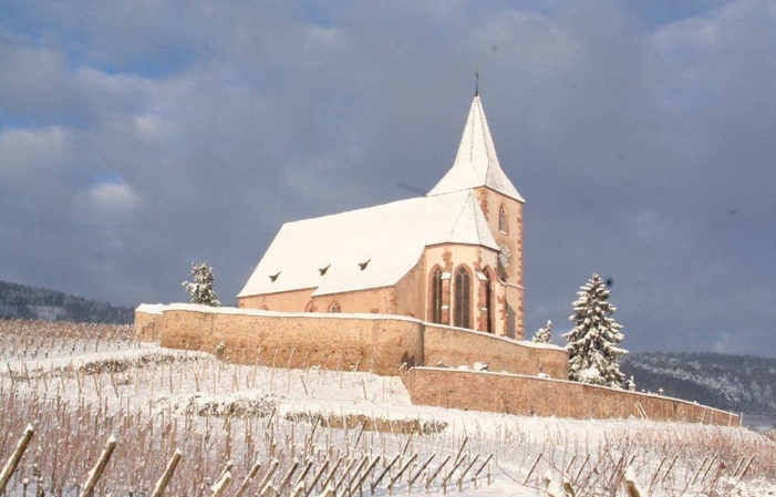 Visita y degustaciones de Domaine Jean Luc Mader 1,00 €