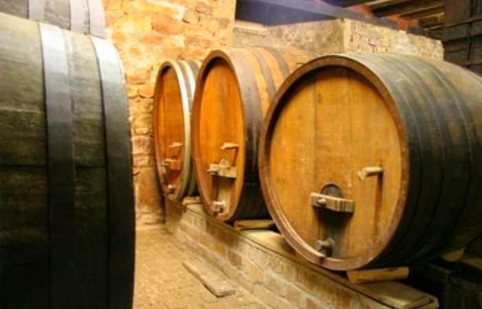 Visita el viñedo con degustación de 5 vinos 6,70 €
