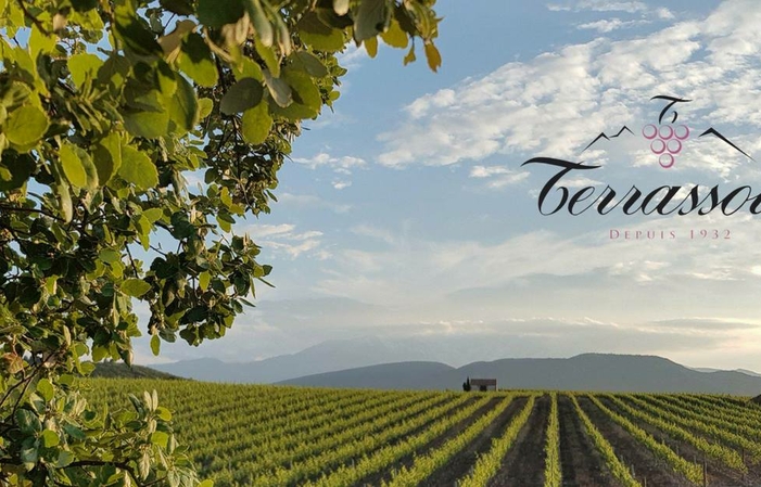 Paseo por el viñedo - Vignobles Terrassous 8,00 €