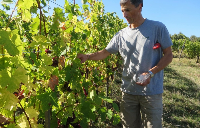 Visita y degustación desde la finca Vincent Stoeffler 1,00 €