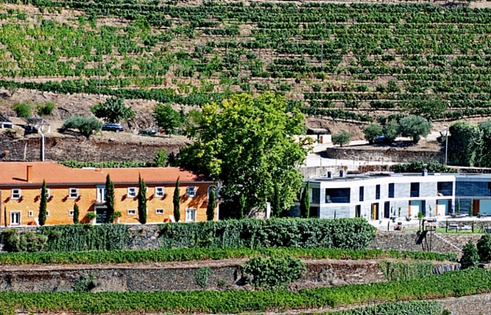 Visita y degustación en Quinta do Vallado 25,00 €