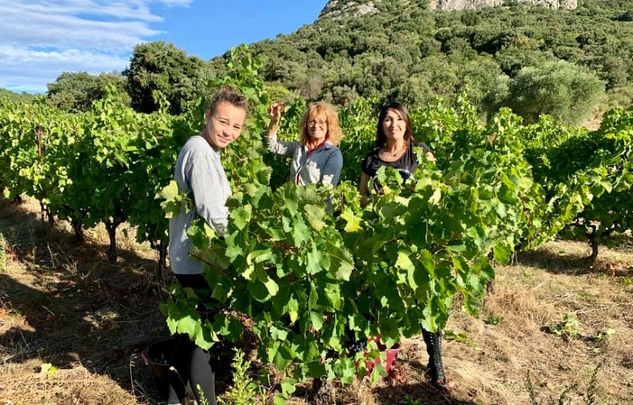 Visita a Domaine La vivarelle 1,00 €