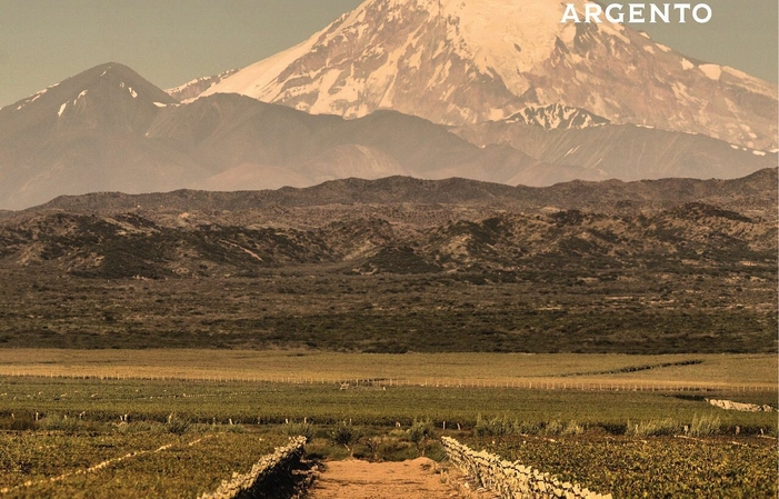 Visita y Degustación - Bodega Argento 1,00 €