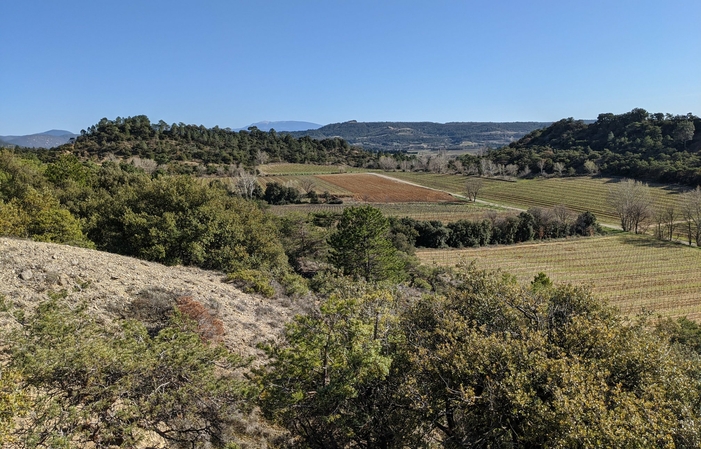 Visita y Degustación en el Domaine de la Bouvaude 1,00 €