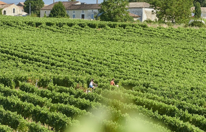 Tour de coñac y degustaciones 1,00 €