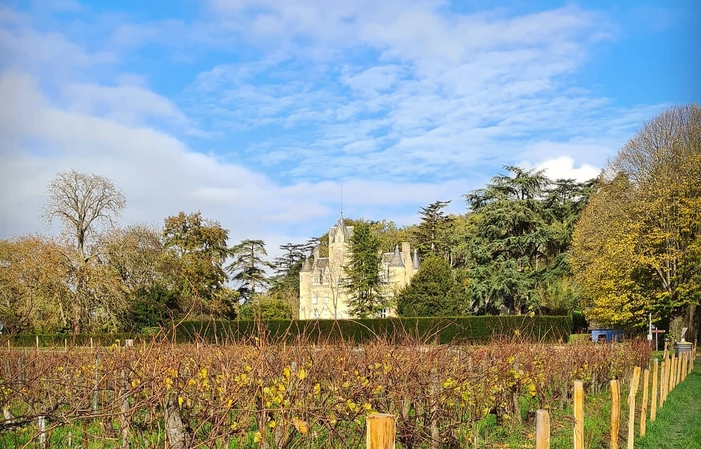 Visita Jeroboam en el Château de Coulaine 16,00 €