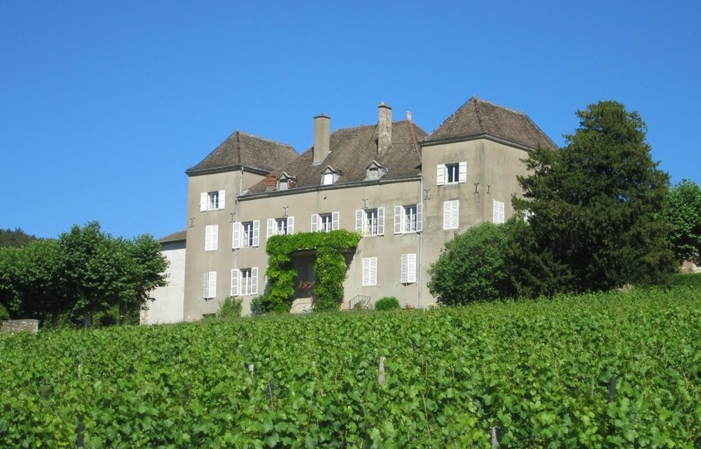 Comida de picnic en los viñedos del Château de la Greffière 29,50 €