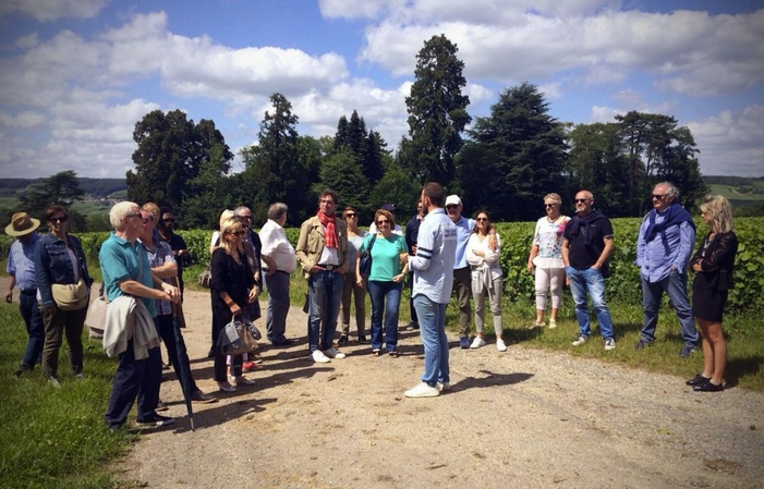 Visita el know-how y la degustación en el Château de Boursault 30,00 €