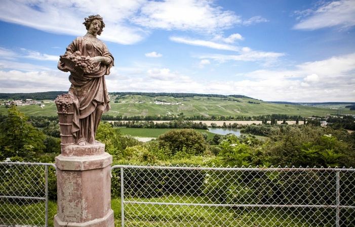 Visita el know-how y la degustación en el Château de Boursault 30,00 €