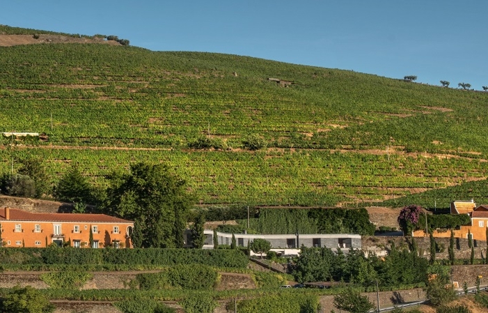 Visita y degustación en Quinta do Vallado 25,00 €