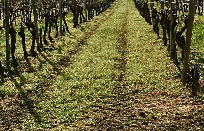 Visita y degustaciones de las destilerías de coñac-grosperrina 1,00 €