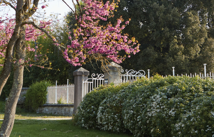 Visita y degustaciones en el Domaine d'Arton 1,00 €