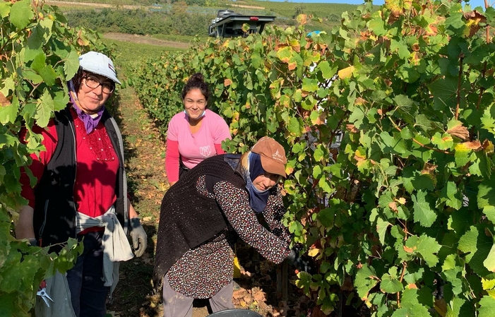 Visita y degustaciones en el Domaine du Clos St Landelin 1,00 €