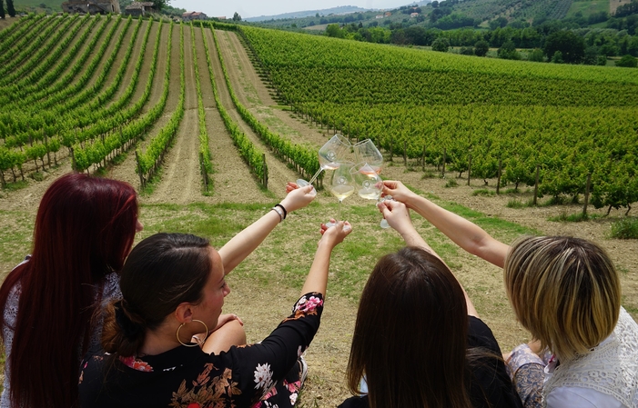 Visita y degustación en Vini Contesa 1,00 €