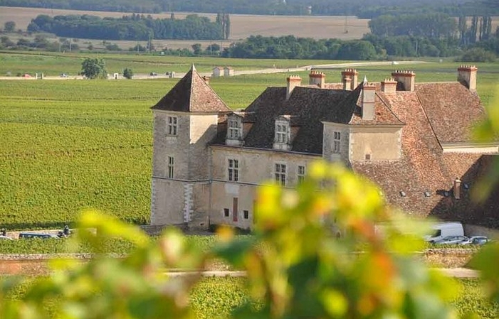 Côte de nuits y Côte de Beaune 295,00 €