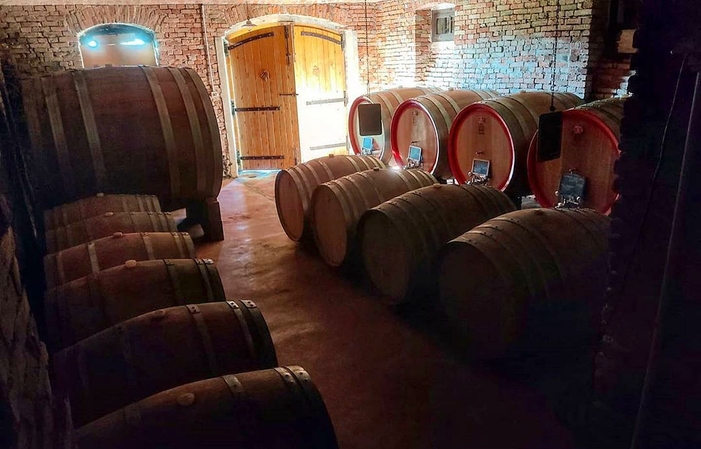 Visita y cata de vinos 1,00 €