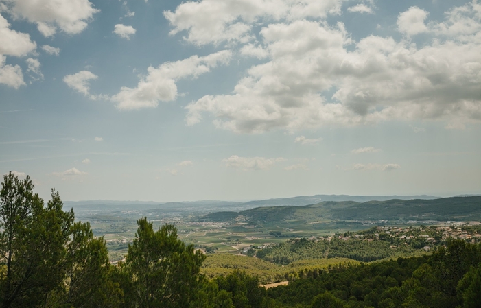 Visita y degustación: caminando entre los viñedos de Parés Baltà 22,50 €