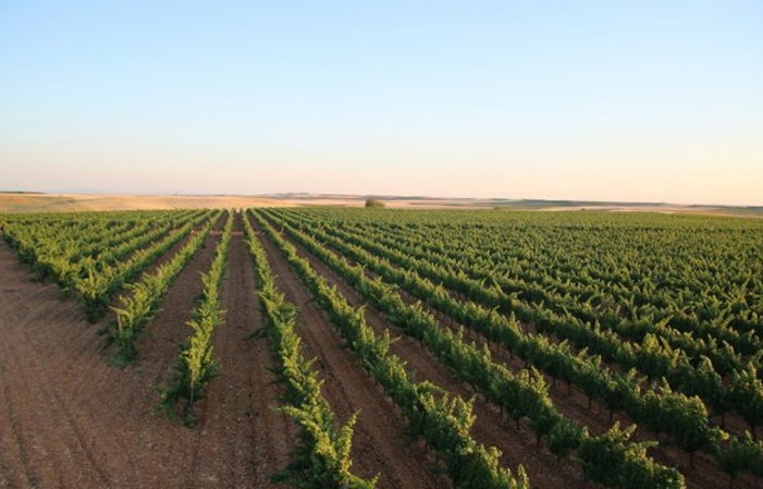 Visita y Degustación Bodega Valdehermoso 6,00 €