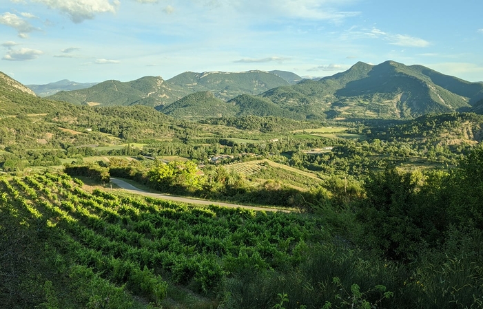 Visita y Degustación en el Domaine de la Bouvaude 1,00 €