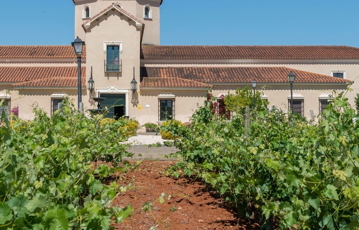 Visita Turística Bodegas Martínez Paiva 10,00 €