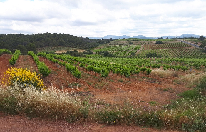 Visita y degustación de Domaine La Croix Sainte-Eulalie 1,00 €