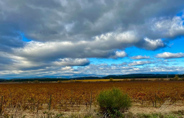 Caminata por la mañana desde el viñedo y el desayuno del viticultor en Domaine la Bastide 25,00 €