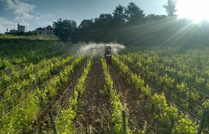 Visita y degustación en el viñedo de Chignin 1,00 €