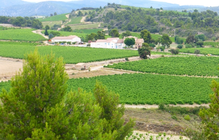 Viste y degustaciones del Château Sainte Eulalie 1,00 €