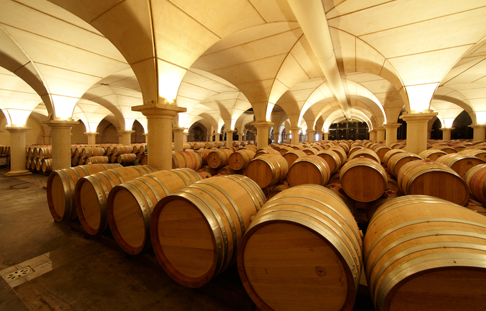Los secretos de un gran vino, el viñedo Brumont 60,00 €