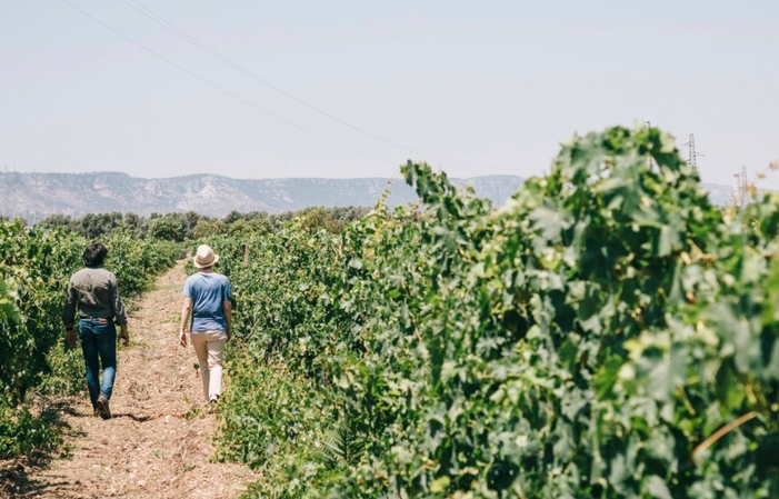 Visita y degustación: el envejecimiento de Moscato Bianco 30,00 €