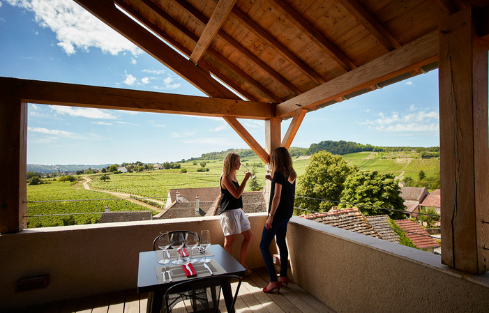 Degustación de prestigio en el Château de Chamirey 35,00 €