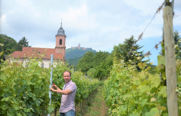 Visita y degustación en Domaine Bléger 1,00 €