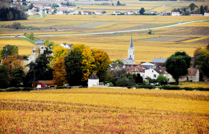 Fincas y castillos en costa de Beaune y Costa de N 59,00 €