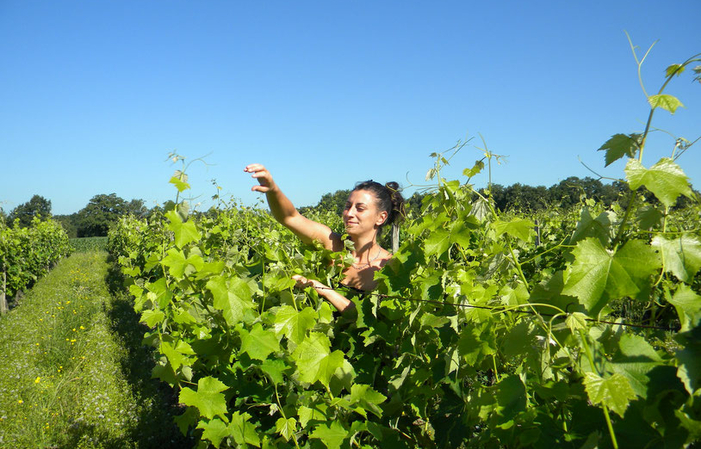 Visita y Degustación en el Domaine de Jouatmaou 1,00 €