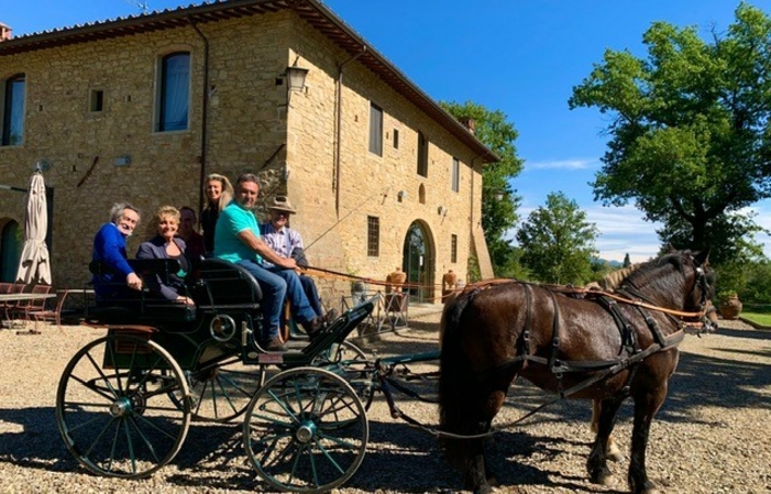 Tenuta Canto Alla Moraia: Tour Deluxe tour por el viñedo, degustación de vinos, almuerzo 45,00 €